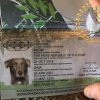P.A.Z.NIA Passport