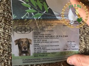 P.A.Z.NIA Passport